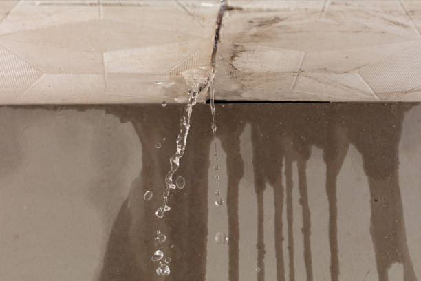 Professional Structural Drying technician working in Eland, WI